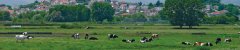 Prairies around lake Pamvotis, Ioannina
